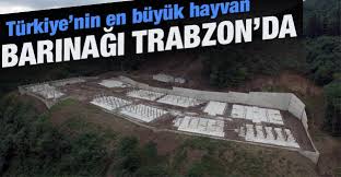 Turkiye Nin Hayvan Barinagi Trabzon Da