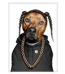 Snoop Dog Pets Rock Dog Cards Snoop Dog