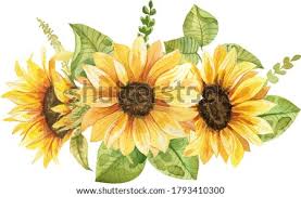 Check spelling or type a new query. Shutterstock Puzzlepix