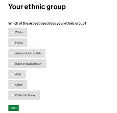 Researching How We Ask Users About Their Ethnicity Design In Government