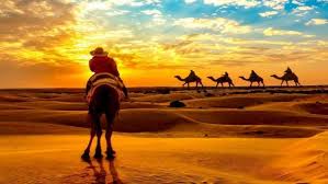 Camel safaries is a tour company based in marrakech, morocco, which offers private tours that are customized to your taste, budget, and time. Top 15 Things To Do In Jaisalmer