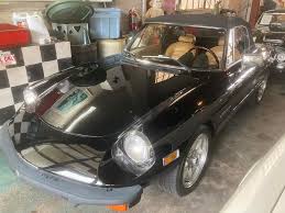 Image result for Gray 1981 Alfa-Romeo