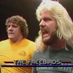 Lance peterson (@SMUheavyweight)