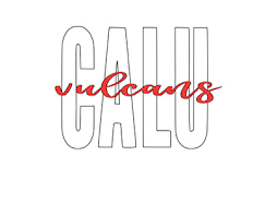 Cal U Projects :: Photos, videos, logos, illustrations and branding ::  Behance