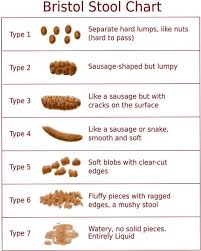 A Corny Way To Check Bowel Transit Time Big Picture Health