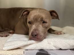 Another dose of Athena cuteness 🥰