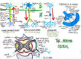 Maybe you would like to learn more about one of these? Leaving Cert Hangovers