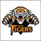 Go Higher Workshop: Cocoa High School event image