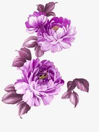 Hand Painted Watercolor Flower Watercolor Clipart Flower Clipart Hand Painted Png Transparent Clipart Image And Psd File For Free Download In 2020 Flower Painting Digital Flowers Flower Drawing