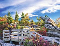 2021-2022 ANNUAL REPORT