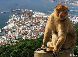 Gibraltar is a legend that is free and unlocked in the base game. Keine Schnellen Losungen Fur Den Affenfelsen Deutschland Dw 27 10 2004