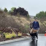 That’s a Load of Mulch!