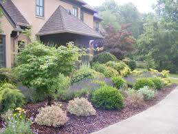Flowering weigela bush 'my monet' has variegated leaves and pink blossoms, and grows to only 24 in. Darryl S Garden In Tennessee From Jeff Finegardening My Monet Weigela My Monet Weigela Shrubs Weigela Shrub