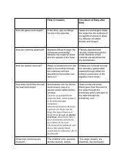 6 05 Fetal Circulation Column1 How Are Gases Exchanged