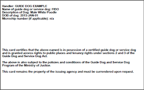 Guide to getting an emotional support animal. Emotional Service Dog Letter Sample Anxiety