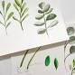 Leaves, Stems & Greens in Watercolor: Two Week event image