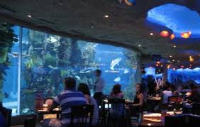 It was very disappointment for me. Downtown Aquarium Houston Houston Ticket Price Timings Address Triphobo