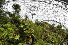 Inside the artificial biomes are plants that are collected from all around the world. Eden Project The Great Gardens Of Cornwall