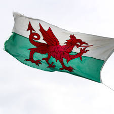 Safesearch / 1 ‹ › 35 free images of wales flag. The Welsh Flag Has Been Voted The Coolest Looking Flag In The World North Wales Live