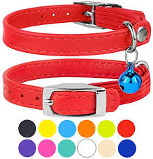 Indoor kitties can enjoy comfy cotton neckwear measure your cat to make sure their beautiful new leather collar is a good fit! Collardirect Leather Cat Collar Cat Safety Collar With Elastic Strap Kitten Collar For Cat With Bell Black Blue Red Buy Online In Aruba At Aruba Desertcart Com Productid 60014216