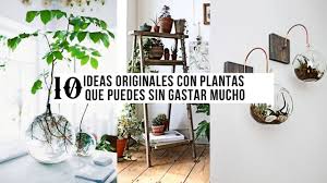 Kare, muebles, iluminación y accesorios para decorar tus espacios con las últimas tendencias de diseño europeo. 10 Ideas Originales Para Decorar Con Plantas En El Interior De La Casa Que Puedes Hacer Tu Misma Youtube