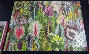 Maybe you would like to learn more about one of these? My First Completed Puzzle Houseplant Jungle By Galison 1000 Piece I Am Genuinely Blown Away By The Quality Of This Puzzle Since I Found It In A Thrift Shop For 1 50 Jigsawpuzzles