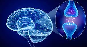 Oct 24, 2019 · webmd explains the possible causes of parkinson's disease. What Causes Parkinson S Disease Parkinson S Foundation