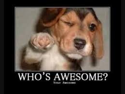 At memesmonkey.com find thousands of memes categorized into thousands of categories. The Happy Birthday Amber Song Youtube