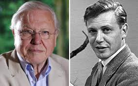 Make a difference for wildlife and for our environment! David Attenborough S Earliest Shows Are Now Available On Bbc Iplayer Trill Magazine