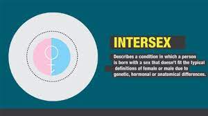 Bagi yang sering nonton video online, nampaknya beberapa. Bisexuality On The Rise Says New U S Survey Cnn