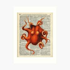 Old xbox gamerpics squid ~ new custom secret gamerpic glitch xbox one youtube. Octopus Art Prints Redbubble