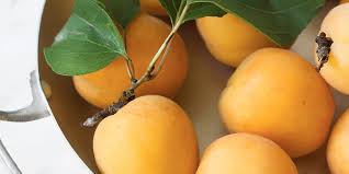 Comment Se Debarrasser Des Mouches A Fruits Veronique Cloutier
