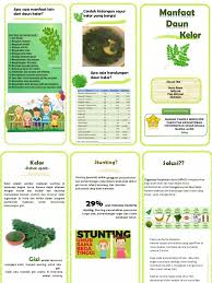 Daun yang sudah matang boleh dibuat ubat setelah mencapai tempoh empat bulan. Brosur Daun Kelor