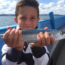 THE 15 BEST Devon Fishing Charters & Tours (with Prices)