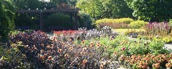 Ausstellung | bild © botanischer garten solingen wichtiger hinweis: Solingen Botanischer Garten Strasse Der Gartenkunst