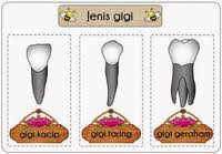 Guru memaparkan gambar warga emas yang tersenyum tanpa gigi. Sains Tahun 3 Kegigian Manusia Science Quiz Quizizz