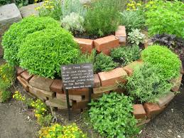 Spiral Herb Garden Design Photograph This Herb Garden Herb Garden Design Spiral Garden Indoor Herb Garden