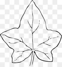 Check spelling or type a new query. Pumpkin Leaf Png And Pumpkin Leaf Transparent Clipart Free Download Cleanpng Kisspng