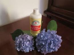 A temperatura ambiente si presenta come liquido incolore, acquoso, corrosivo e dall'odore pungente. Acqua Ossigenata 23 Proprieta E Benefici Naturopataonline