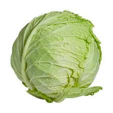 Image result for hlávková kapusta