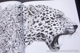 Surf the large choice of complimentary. Book Review Animorphia By Kerby Rosanes Parka Blogs