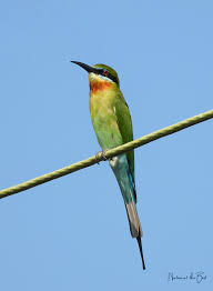 Paul Oriente (@oriente_paul)