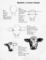 How To Draw A Realistic Cow Step By Step Pails Of Paint Art Lesson The Face Of A Cow Art Lessons Cow Drawing Cow Painting Painting Art Lesson
