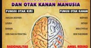 Cara Melatih Otak Kanan Anak Fungsi Otak Kanan Dan Otak Kiri Dalam Penelitian Para Praktisi Yang Menaruh Perhatian Pada Masalah Perke Latihan Otak Latihan Otak