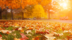 Image result for but i love you most of all when autumn leaves begin to fall