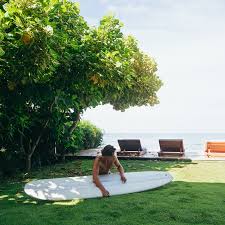 Surf and Yoga Retreats in Costa Rica  Lush Palm