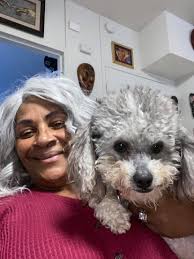 Lost dog Rowlf near 101 and Cave Creek in Phoenix