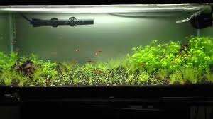 Fluval c power best hob filter for saltwater aquariums. Best Canister Filter Reviewed Tested Compared In 2020