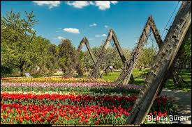 Britzer Garten Britzergarten Britz Neukolln Berlin Deutschland Germany Biancabuergerphotography Igersgermany Ige Instagram Posts Instagram Photography