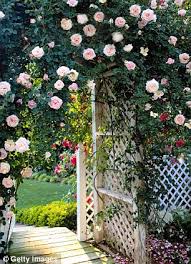 Maybe you would like to learn more about one of these? Monty Don Pergolas Arches Trees Even The Side Of The House Will Be Enriched If You Let Roses Ramble Daily Mail Online
